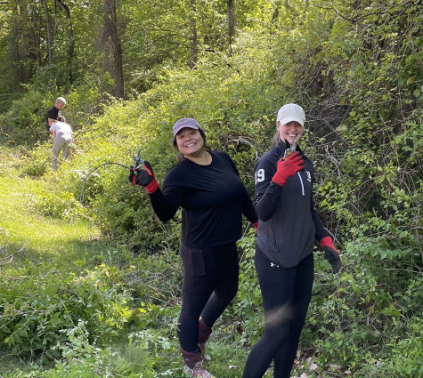 Culture at Burness 2