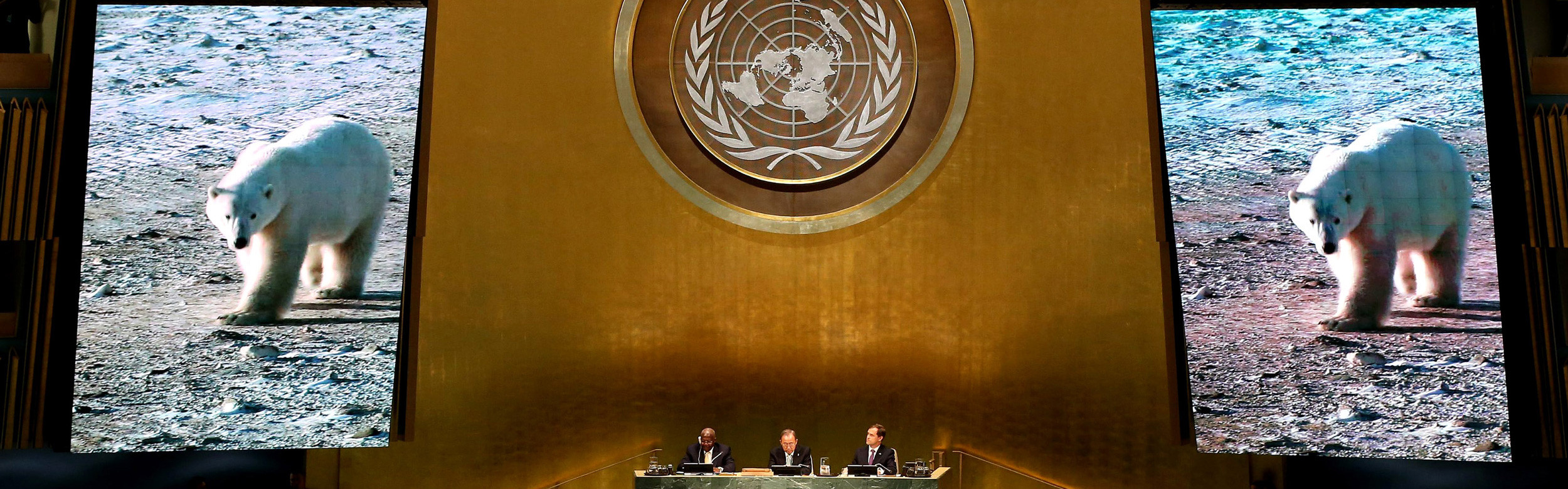 Photo at the UN Climate Summit, with three men sitting in the middle and two screens projecting a photo of a polar bear.